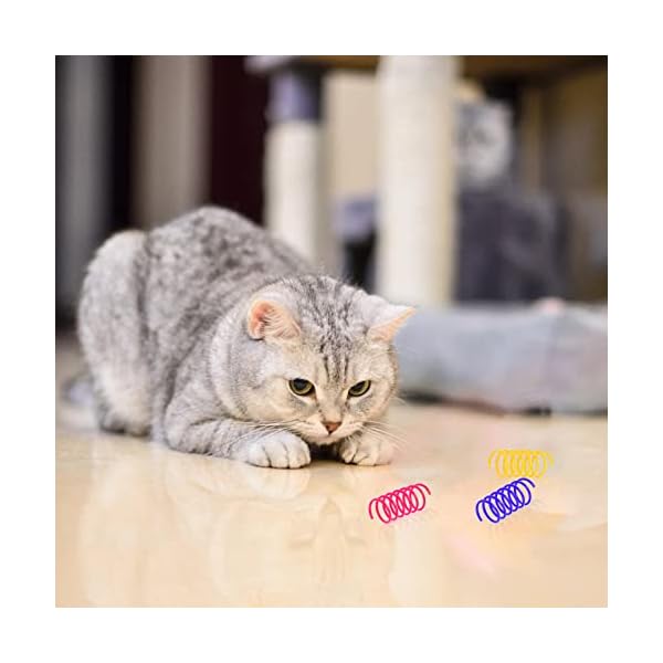 Cat Spring Spielzeug für Katzen, 100 Stück Katzen Frühlingsspielzeug, Interaktives Katzenspielzeug,Kunststoff Spiralfedern,Spirale Katzen Spielzeug,Breit Bunte Spiralfedern,Spring Spirale für Katze – Bild 7