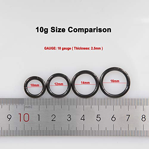 Image of FANSING Men Women 316L Surgical Steel Hinged Nose Rings Hoop for Nostril Septum Cartilage Helix Daith Tragus Rook Conch Lip Ear Lobe Piercings