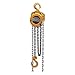 Manual Chain Hoist, 30 ft.Lift