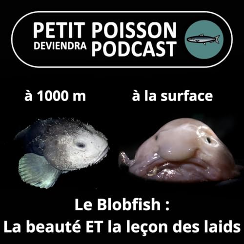 『S05E03 Le Poisson Blob, élu "animal le plus laid du monde"』のカバーアート