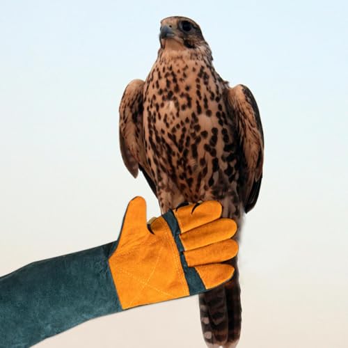 Guantes de manipulación de animales con máxima resistencia a masticación 5