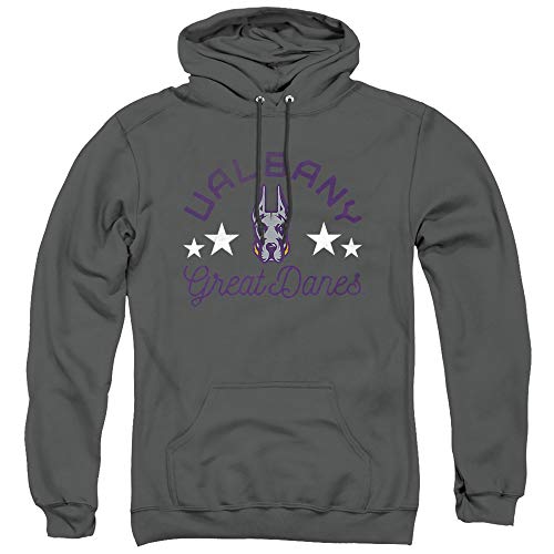 University at Albany Great Danes Unisex Pull-Over Hoodie, Charcoal, Large