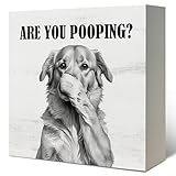 LUKIPOM Funny Golden Retriever Bathroom Wooden Box Sign, Are You Pooping Sign, Golden Retriever Dog Lover Gifts Wood Signs for Bathroom Restroom Toilet Half Bath Shelf Counter Decor, 5x5 Inch
