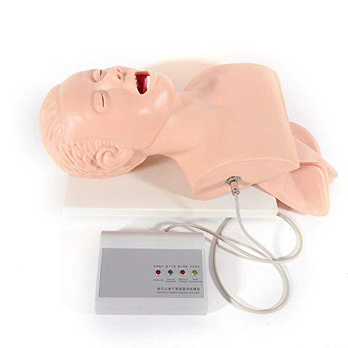 Intubation Manikin Study Teaching Model, 220V Oral Nasal Intubation Airway Management Trainer PVC Demo (US Shipping)