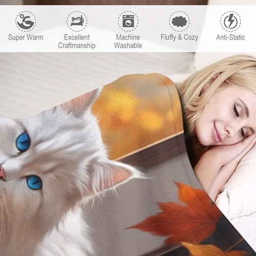 Couverture chat mignon idéale pour canapé et lit confortable - 4