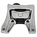 OCPTY 1PC Engine Motor Mount Compatible 2005-2011 Focus 2.0L & 2005-2007 Focus 2.3L & 2010-2013 Fransit connet 2.0L # A5495