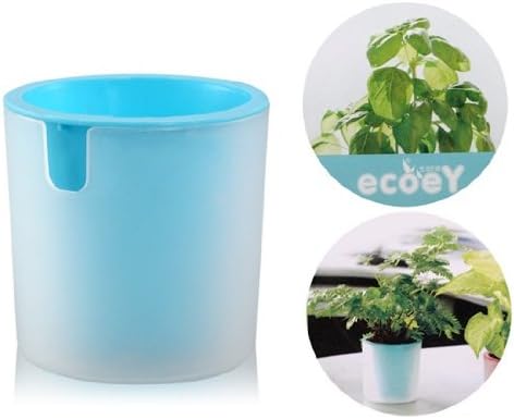 HUMPS Activated Carbon Sweet Basil Potted Plant