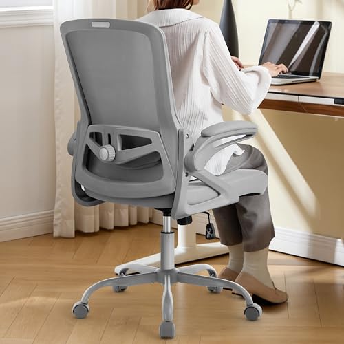 Image of Ergonomic Office Chair, Desk Chair with Adjustable Lumbar Support, Breathable Mesh Comfy Computer Chairs with Flip-up Armrests Executive Task Chair for Adults Home Office (Gray)