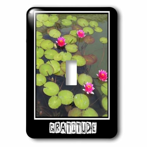 Plaque interrupteur unique 3dRose lsp_29477_1 finition durable style spirituel