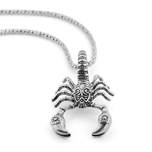 Collier Pendentif Scorpion Gothique pour Homme - Chaîne de 23,6 Po, Amulette Punk Rock, Bijoux Cadeau pour Hommes et Garçons (Argent)