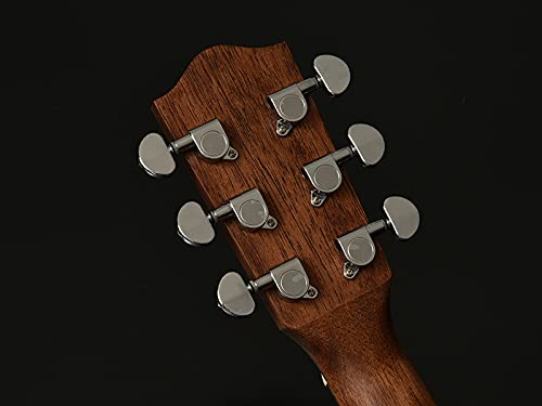 Amazon.co.jp: Headway HGAF-5100SE/C エレアコギター ヘッド