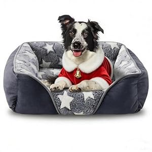 Medium Dog Bed with 20cm High Side, Dog Beds Medium Washable Dog Sofa Bed Filled with 1.3kg High-Density Cotton Easily Support 16-20Kg Corgi/Dachshund/Jack Russell, 64x53x20cm