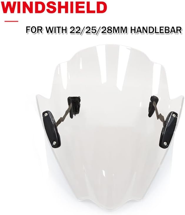 値下げ！未使用 カメオ 希少 CIRO MAZZA 刻印有り