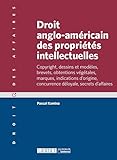  droit anglo-américain des propriétés intellectuelles: COPYRIGHT, DESSINS ET MODÈLES, BREVETS, OBTENTIONS VÉGÉTALES, MARQUES, INDICATIO