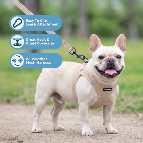 Image of Best Pet Supplies Voyager Step-in Air All Weather Mesh Harness and Reflective Dog 5ft Leash Combo with Neoprene Handle, for Small, Medium and Large Breed Puppies - Khaki, S