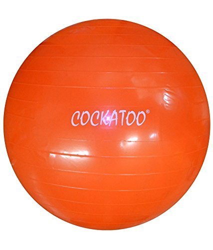 Cockatoo GB-55 Anti-Burst Gym Ball, 55cm (B00UHKNEQU) Amazon Price History, Amazon Price Tracker