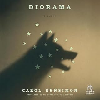 Diorama Audiobook By Carol Bensimon, Zo&euml; Perry - translator, Julia Sanches - translator cover art