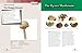 Mushrooming with Confidence: A Guide to Collecting Edible and Tasty Mushrooms