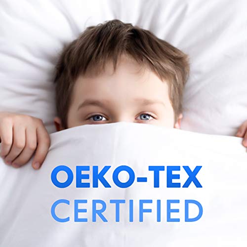 Homeideas 6 Piece Bed Sheets Set Extra Soft Brushed Microfiber 1800 Bedding Sheets Deep Pocket, Wrinkle & Fade Free (King,Light Gray) #TOP1