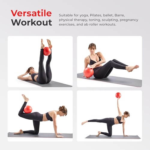 Sunny Health & Fitness 9" Premium Anti-Burst Exercise & Stability Ball - image 2