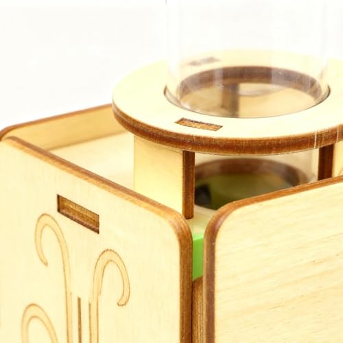 Kit De Experimentos Científicos | Proyecto De Aprendizaje Científico Exploratorio | Kit De Globo Flotante,para Padres Hijos Estudiantes Niños Niñas Hogar Escuela Aula - imagen 9