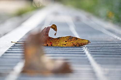 Ficha técnica Venus Laowa 65mm f/2.8 APS-C Ultra macro lente de enfoque manual para Sony E-Mount Camera - Fernando Cortés