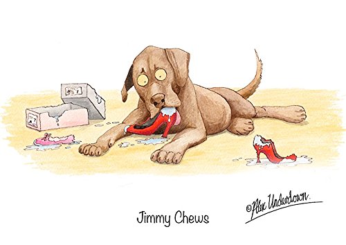 Dog Greeting Card "Jimmy Chews" by Alex Underdown