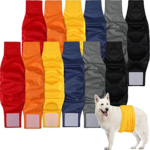 Navigating The Market For The Best Belly Bands To Keep Your Dog Securely Groomed