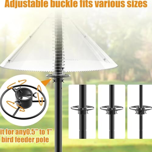 Deflector anti ardillas para poste en el jardin trasero de casa 8