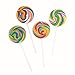 Swirl Pops - Lollipop Suckers, 0.01oz (1-Pack of 12)