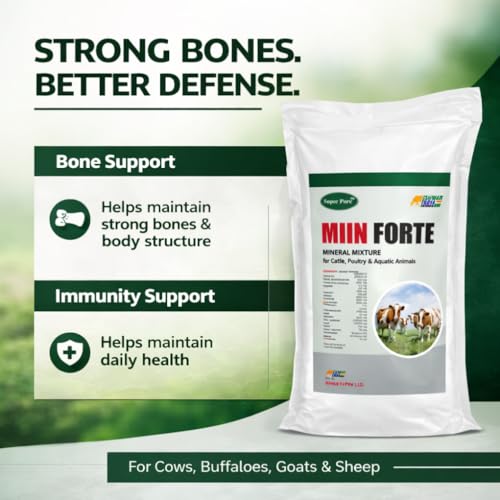 Image of MIIN Forte 20Kg Pouch | Water-Insoluble Mineral Mixture Powder for Cattle, Buffaloes, Cows & Goats | Complete Livestock Feed Supplement for Growth, Milk Yield & Immunity Booster