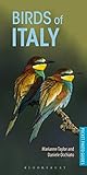  Birds of Italy (Pocket Photo Guides)