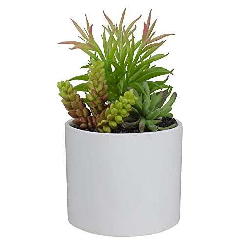 Northlight 9" Artificial Succulent Arrangement in White Ceramic Pot