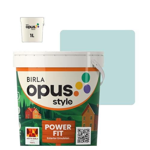 Image of Birla Opus Style Power Fit Exterior Emulsion Paint (1L, Tiny Ripples, Matte Finish) | Superior Whiteness & Brightness, Excellent Finish, Low VOC | 2 Yr Warranty | For Exterior, Outdoor Walls