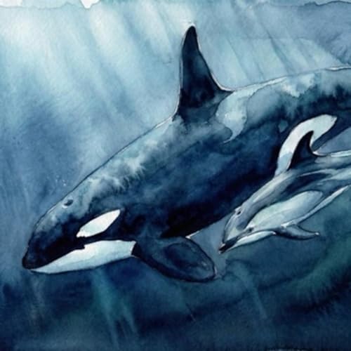 シャチが黙るとき―異種の知性が接続される海