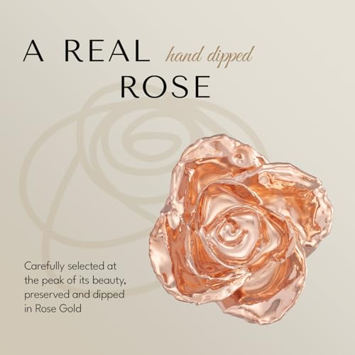 Image of Forever Rose Real Rose Dipped in Rose Gold, Luxury Leather Display Case