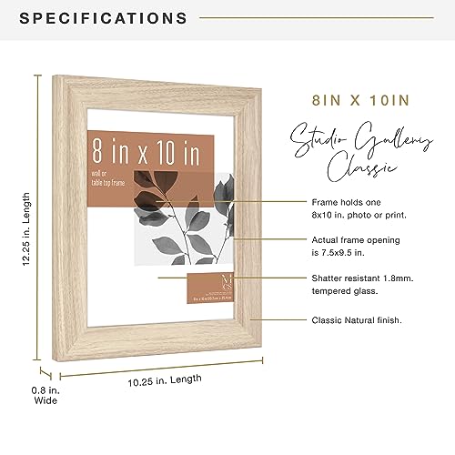 MCS Studio Gallery Classic 8x10 Picture Frame Natural Woodgrain, Vertical & Horizontal Wall Hanging Large Picture Frame for Photos, Posters & Art Prints (1-Pack)