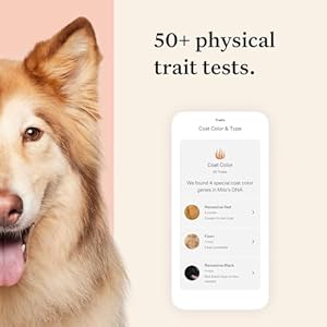 Wisdom Health Panel Premium Dog DNA Kit: Most Comprehensive with 265+ Health Tests, Identify 365+ Dog Breeds, 50+ Traits, Relatives, Ancestry, Genetic Diversity - Pack of 1 Wisdom Health Panel Premium Dog DNA Kit Most Comprehensive with 265 Health Tests Identify 365 Dog Breeds 50 Traits Relatives Ancestry Genetic Diversity Pack of 1