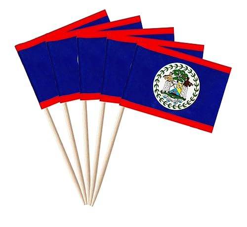 stidsds 100pcs National Zahnstocher Flagge B (Belize)