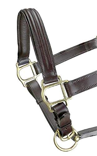 Grewal Equestrian Triple Stitched Leather Halters (Havana, Oversize)