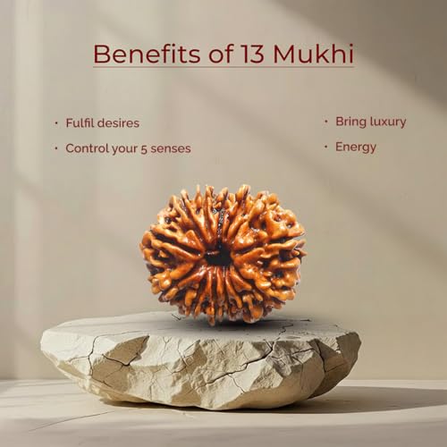 Image of Divine Hindu Authentic 13 Mukhi Rudraksha Bead (Lab Certified) - Original Thirteen Face Nepali Rudraksha for Success, Charisma & Kaamdev Blessings - Natural Brown Prayer Bead for Men & Women