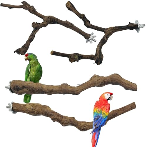 Allazone 4 Pz Perca de Pájaro, Pájaro de Madera Soporte de Perca, Palo de UVA Salvaje Natural, Juguetes para Pajaros Juguetes para Masticar Loros para Masticar Loros, Periquitos, Cacatúas