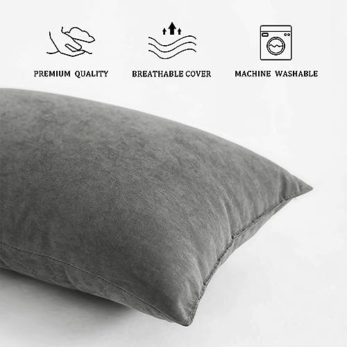 BEDSUM-2-Pack-Tiny-Pillows-11x7-Microfiber-Mini-Pillows-for-Travel-Pets-Soft-and-Machine-Washable-Small-Pillows-for-Neck-Wrist-and-Knee-Comfort-Dark-Grey - Cucciolini Doodles   BEDSUM-2-Pack-Tiny-Pillows-11x7-Microfiber-Mini-Pillows-for-Travel-Pets-Soft-and-Machine-Washable-Small-Pillows-for-Neck-Wrist-and-Knee-Comfort-Dark-Grey
