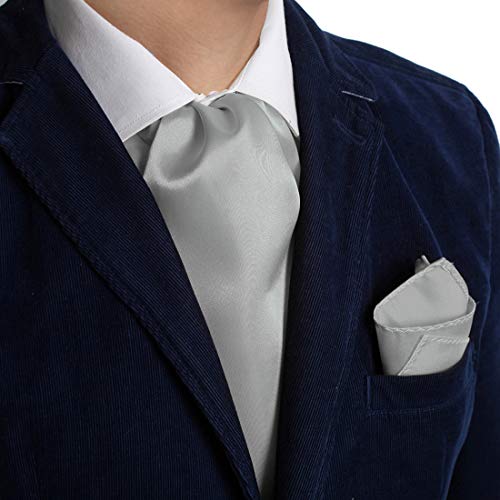 Dan Smith Silver Ascot Cravat Tie For Men Handkerchiefs Satin Solid Self Formal Cravat Scarf Hankies Evening Drc1E01H Silver #TOP1