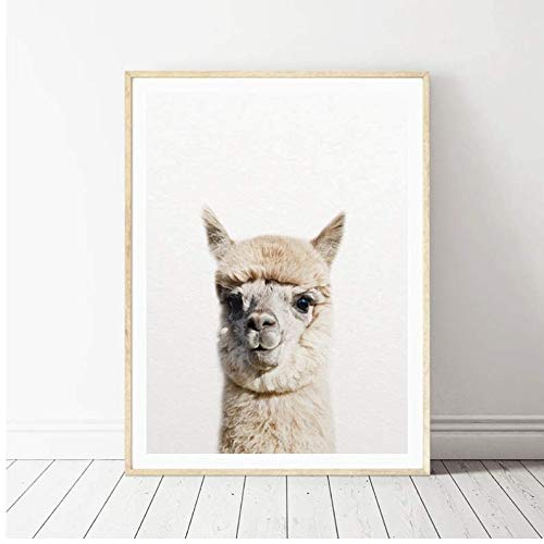 Affiche lama animaux de la ferme pour créer un cocon doux en pépinière