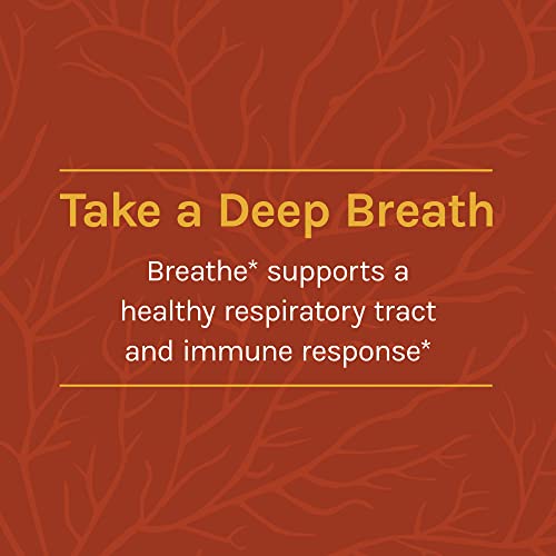 Host Defense Breathe* Powder - Immune & Respiratory Support Mushroom Supplement - Herbal Lung Health Support Supplement with Chaga, Reishi & Cordyceps - 3.5 oz (66 Servings)* - Image 5