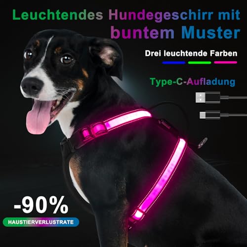 KOSKILL LED Hundegeschirr RGB wiederaufladbar mit Type C Ladung und Akku Anzeige superhelles Reflex Sicherheitsgeschirr für kleine mittlere Grosse Hunde Nacht wasserdicht leicht atmungsaktiv