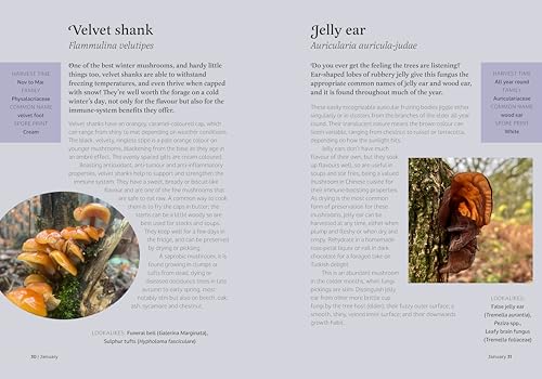 The Forager's Almanac: A year of sustainable foraging, wildcraft and recipes