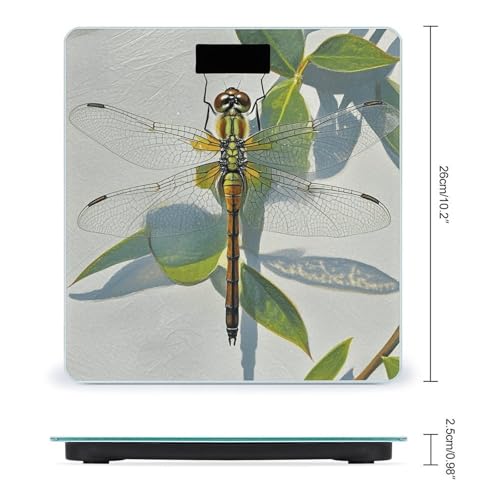 Báscula Digital de Baño con Plataforma Ancha y Pantalla LCD miniatura 2