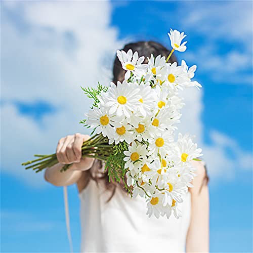 MAIBED  CeA ͂Ȃ mWMN ͂Ȃ { A[gt[  z[ 뉀 Lb` ItBX ͋C o^Cf[ ̓ hV̓ LO a i JX ] j (zCg,12_Zbg)